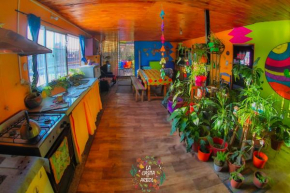 Casita del arbol Hostel